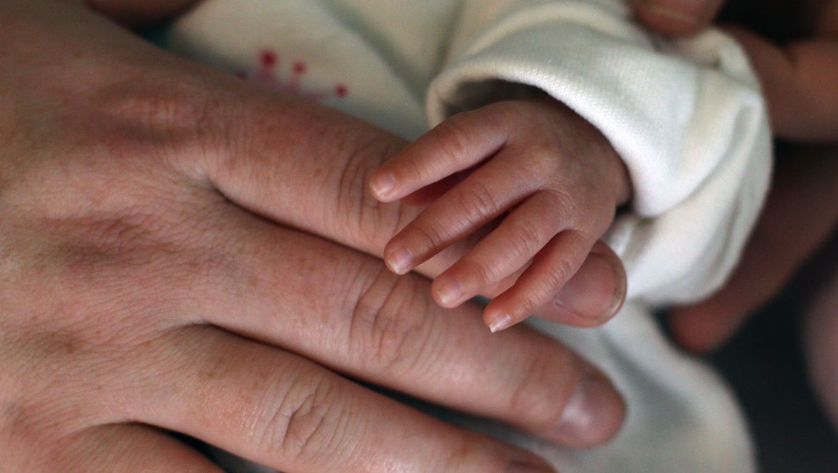 Handfehlbildungen Bei Mehreren Neugeborenen Ursache Unklar Br24