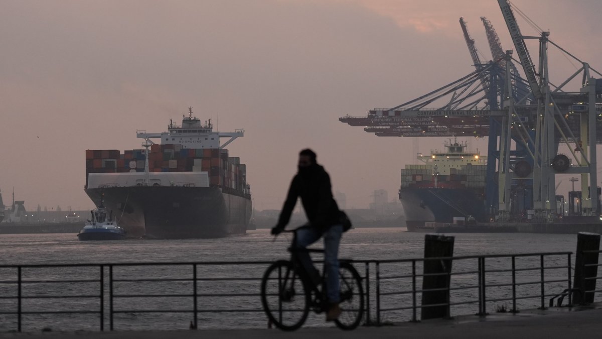 Zu sehen ist ein Containerschiff im Hamburger Hafen. Ein Fahrradfahrer fährt entlang der Promenade.