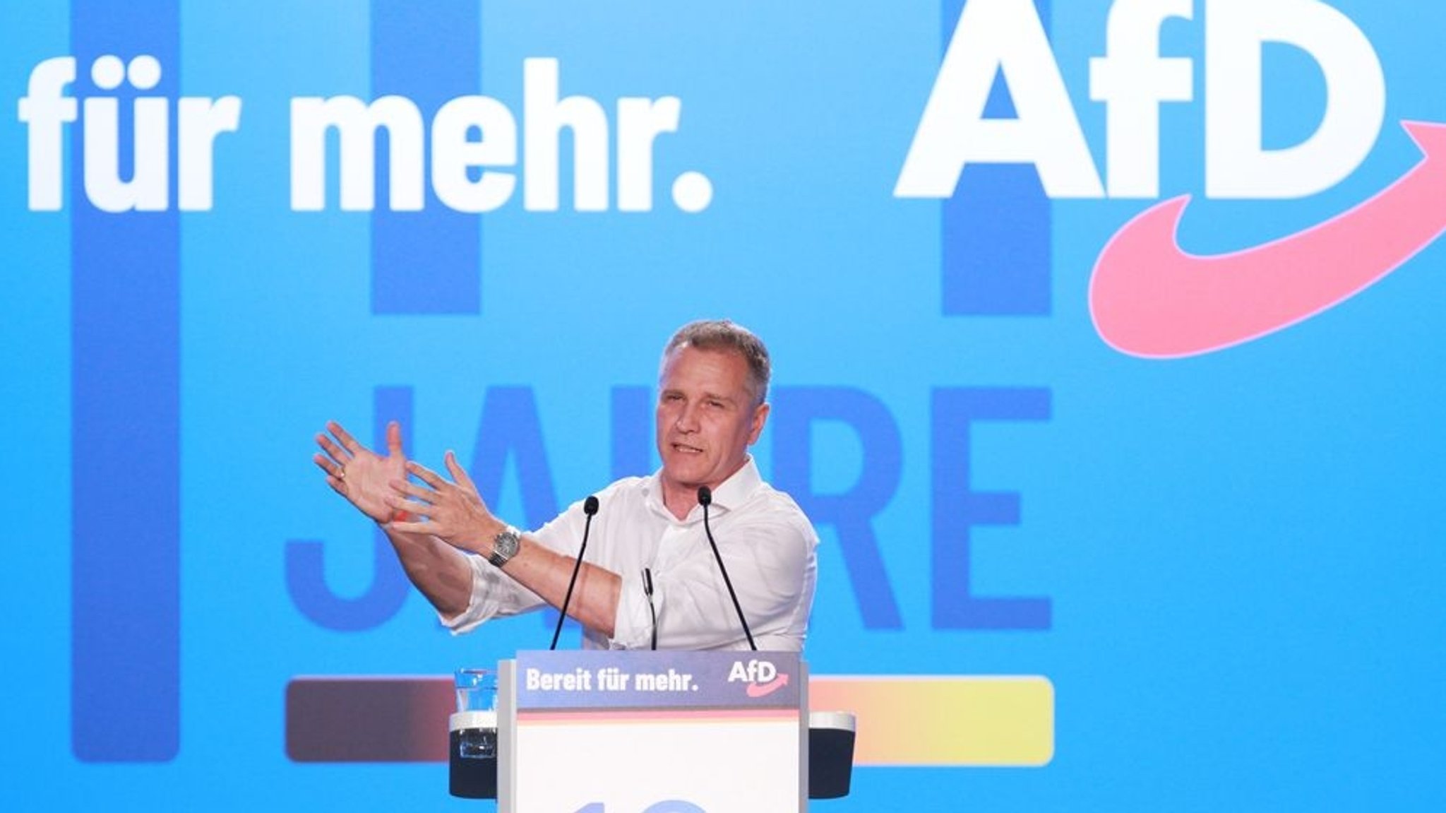 Archivbild: Petr Bystron auf einem AfD-Bundesparteitag