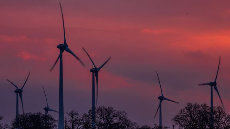 Windräder im Sonnenuntergang | Bild: dpa-Bildfunk / Jens Büttner