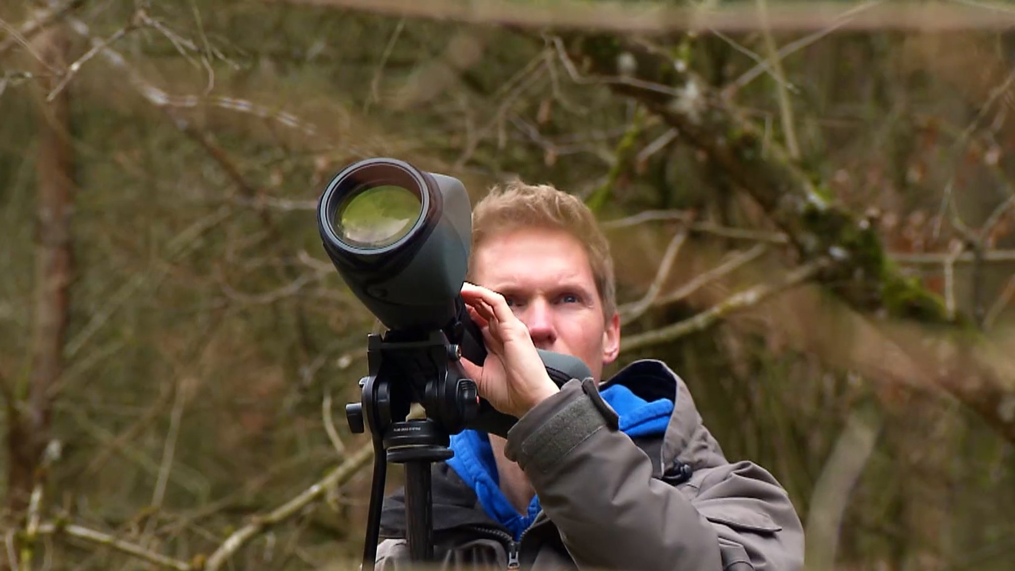 "High Season" für Wanderfalken - LBV schützt Brutfelsen