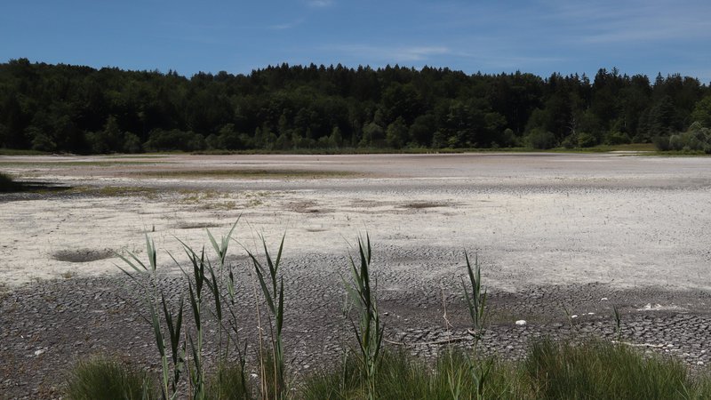 Seeshaupt, Bayern, Deutschland 18. Juli 2022: Ein Sommertag bei Seeshaupt (Landkreis Weilheim-Schongau). Hier der Blick auf den Frechensee, der wegen der Hitze fast ganz ausgetrocknet ist | Bild: picture alliance / Wagner | Ulrich Wagner Seeshaupt, Bayern, Deutschland 18. Juli 2022: Ein Sommertag bei Seeshaupt (Landkreis Weilheim-Schongau). Hier der Blick auf den Frechensee, der wegen der Hitze fast ganz ausgetrocknet ist