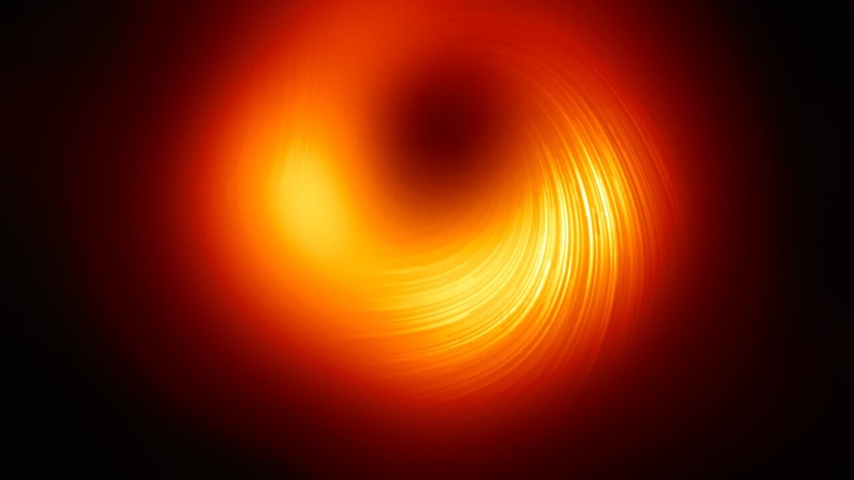 Magnetfelder am Rand des Schwarzen Lochs von M87