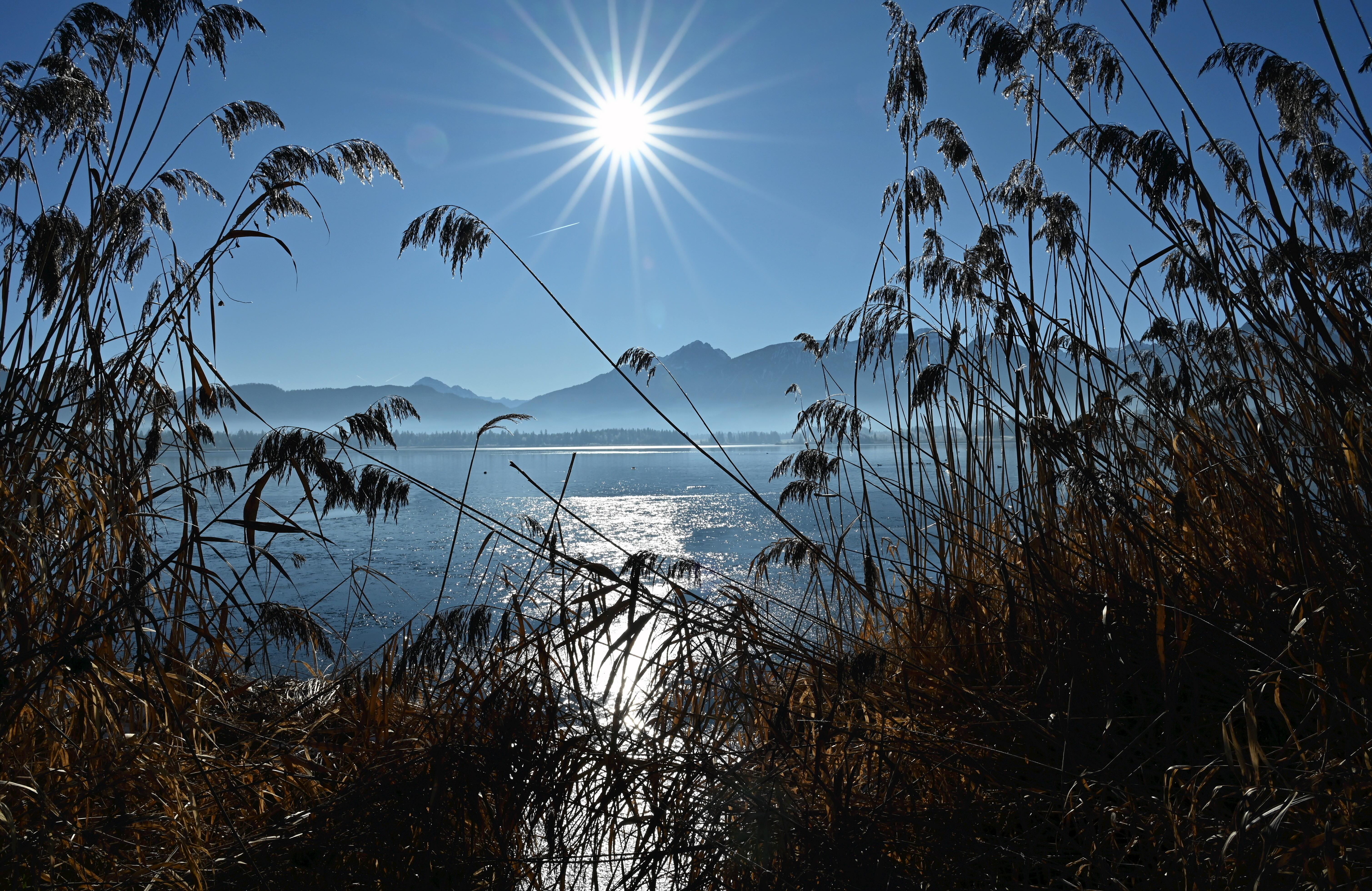 Winterlandschaft am Hopfensee im Allgäu 