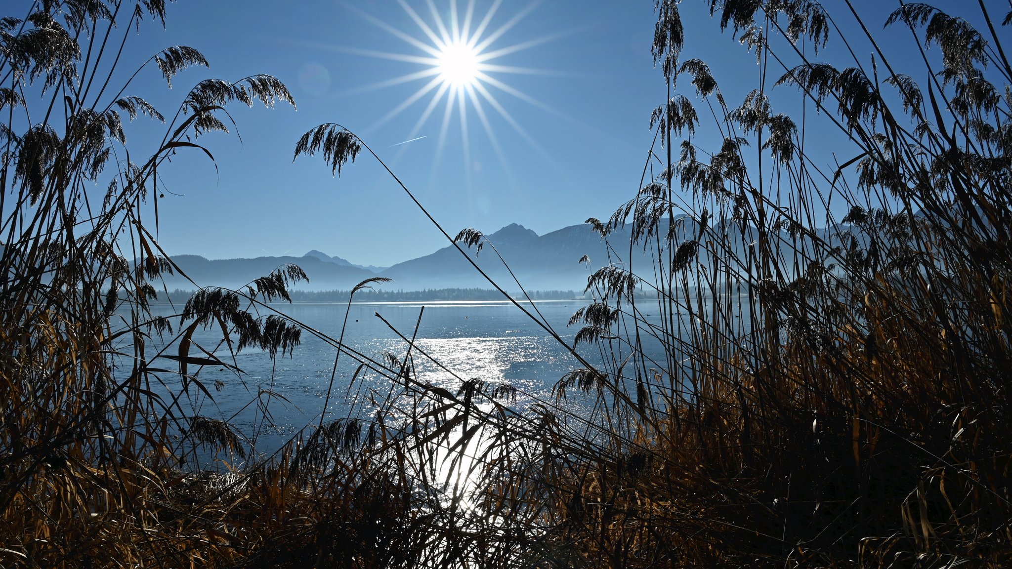 Kalt, kälter, Dauerfrost – Bis zu minus 20 Grad in Bayern 