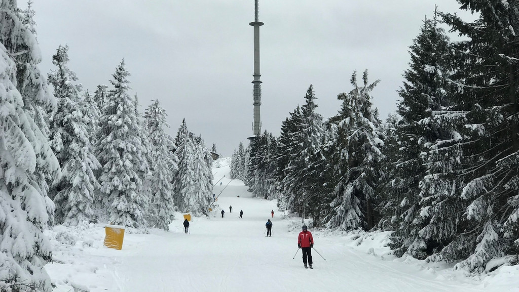Skifahrer sind auf einer Piste am Ochsenkopf unterwegs, daneben verschneite Bäume. 