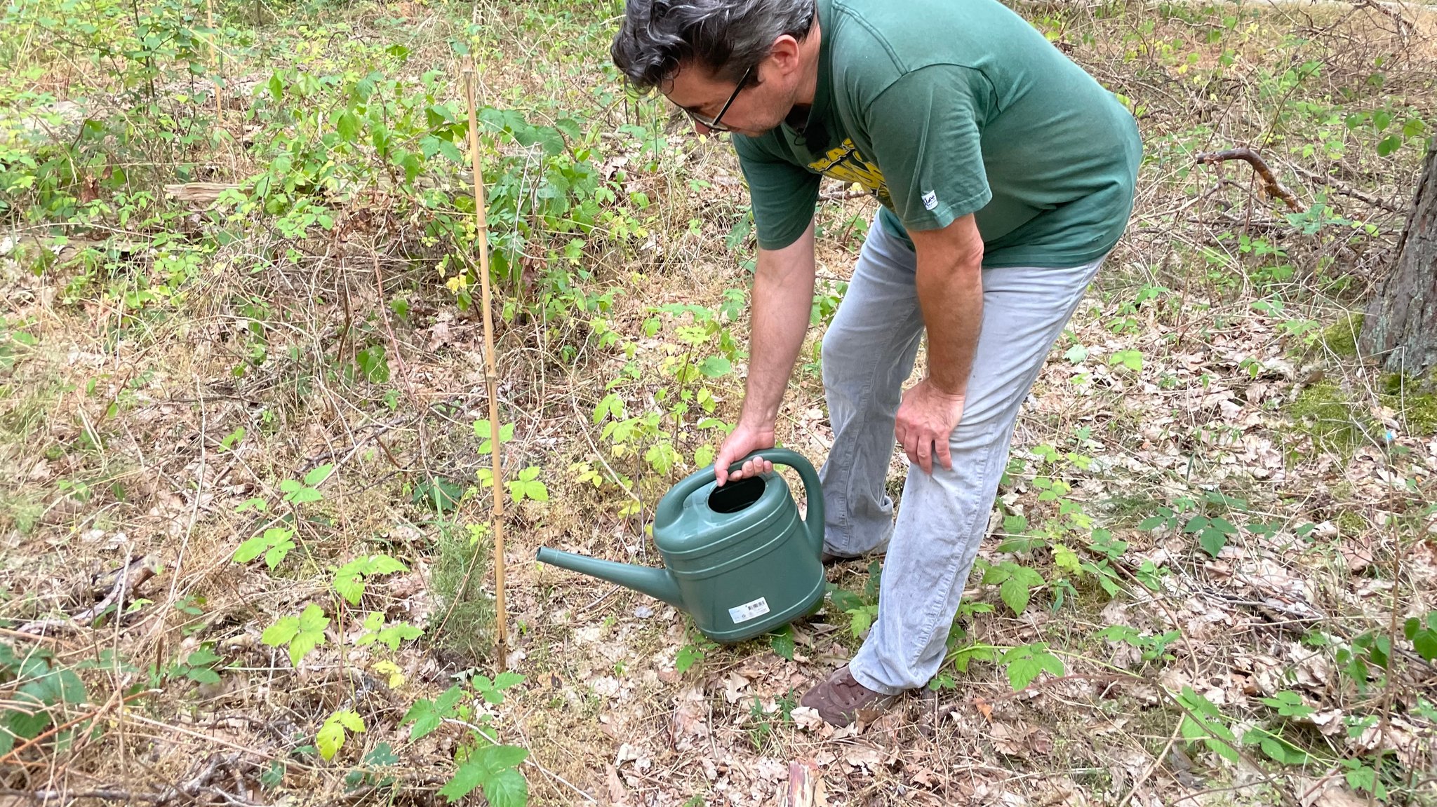 Friedrich Staib gehört zu den "Waldgießern" in Sommerhausen. Ehrenamtlich schützt er junge Baumsetzlinge vor dem Vertrocknen.