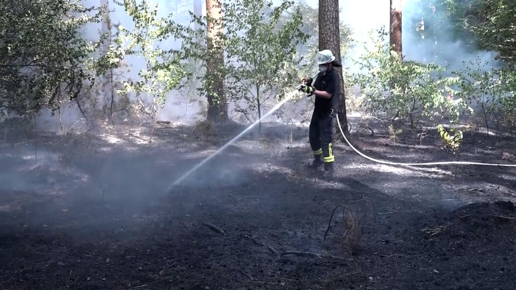 Ein Feuerwehrmann löscht einen Waldbrand beim Stockstadt