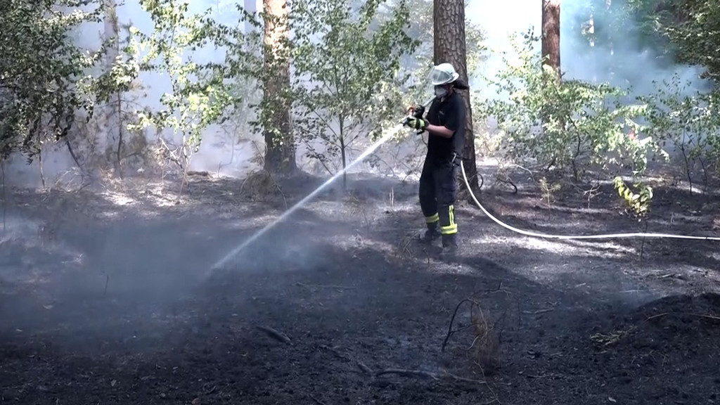 Ein Feuerwehrmann löscht einen Waldbrand beim Stockstadt
