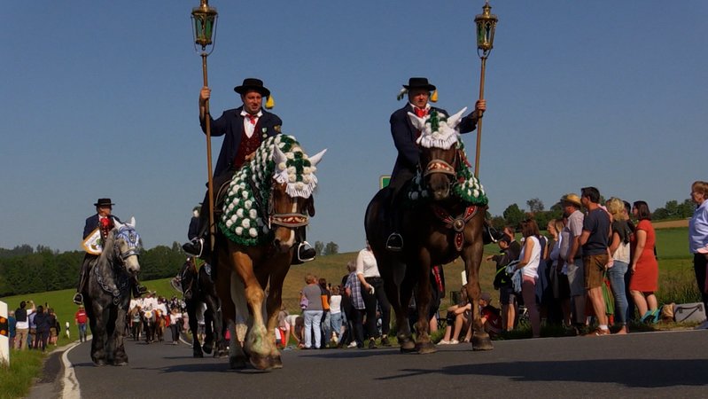 Reiter beim Pfingstritt in Bad Kötzting | Bild: BR Reiter beim Pfingstritt in Bad Kötzting