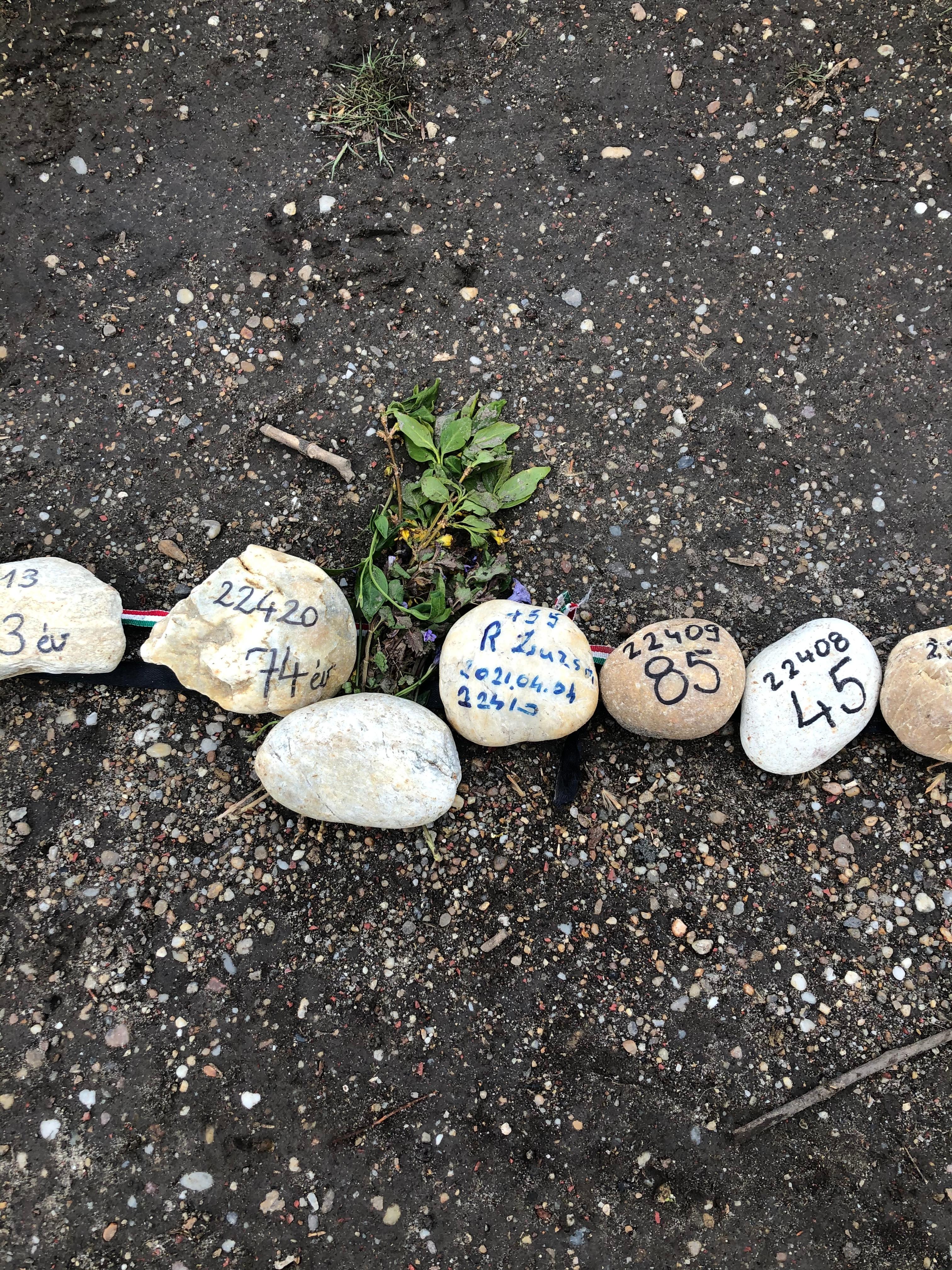 Gedenksteine für die Opfer der Corona-Pandemie in Ungarn auf der Margareteninsel in Budapest 