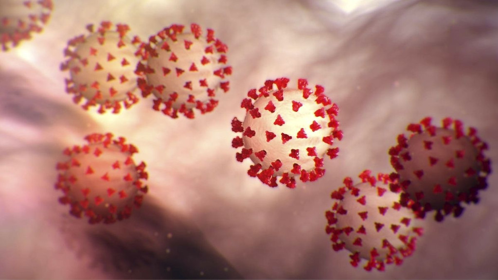 Coronavirus graphische Darstellung