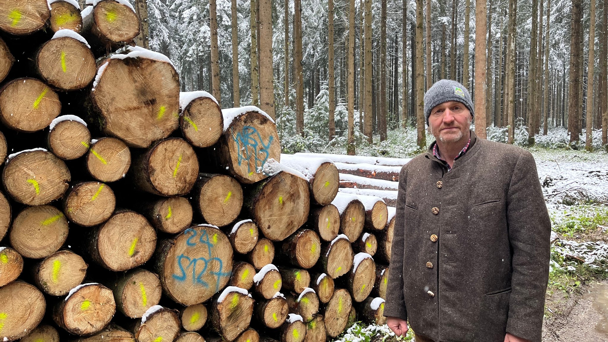 EU-Richtlinie gegen Kahlschlag: Bürokratiemonster im Wald? 