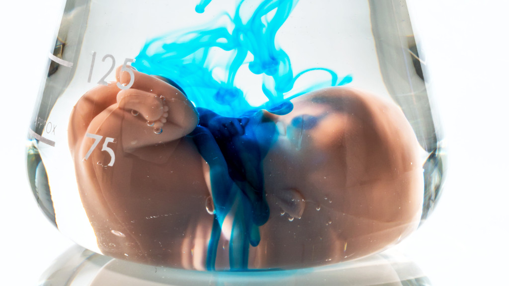 Embryo im Glas 