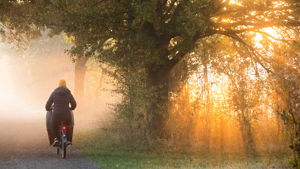 Eine Frau fährt mit einem Fahrrad. Die aufgehende Sonne taucht Nebelschwaden in warmes Licht.
