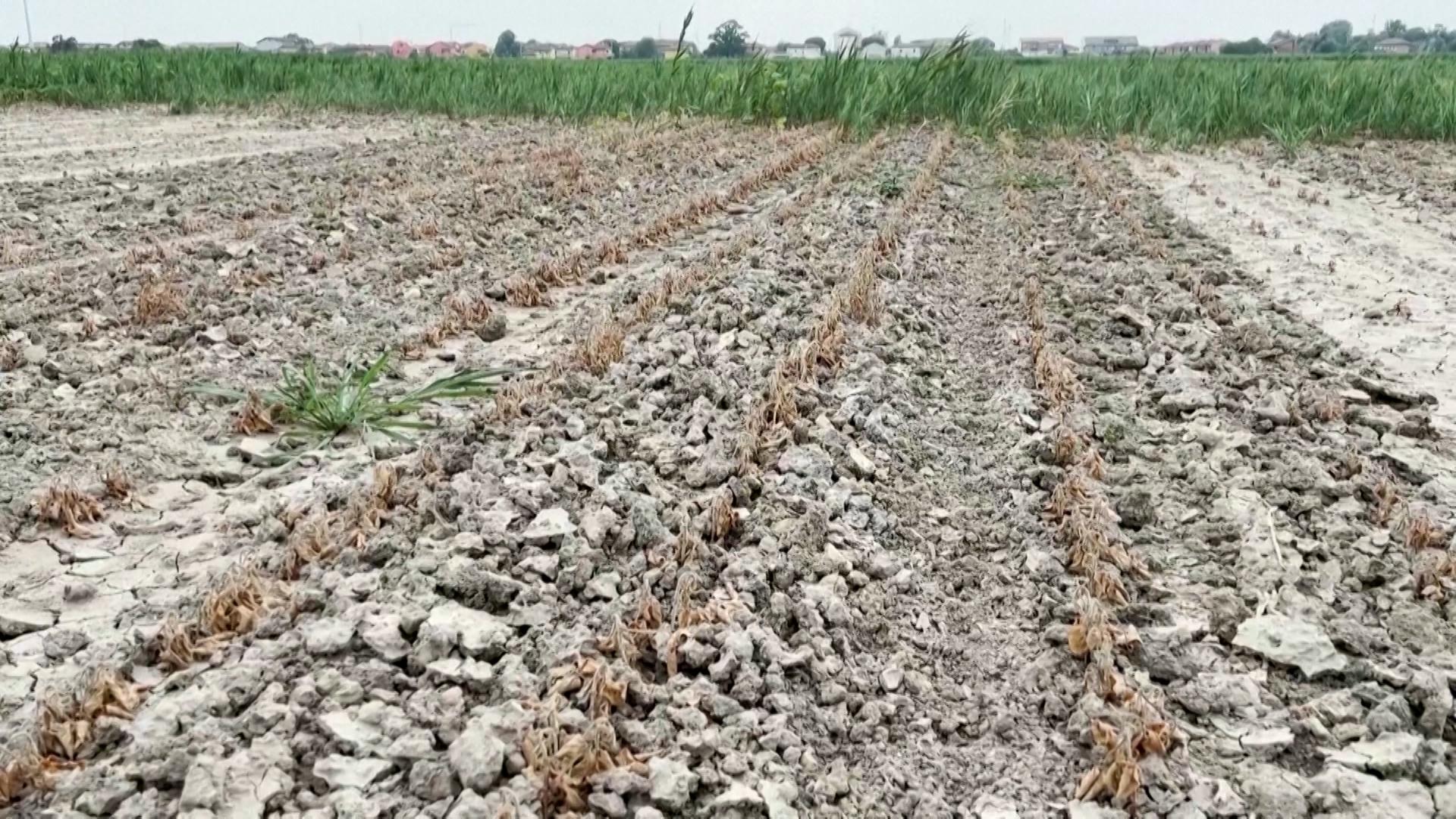 Dürre: Notstand in Teilen Italiens