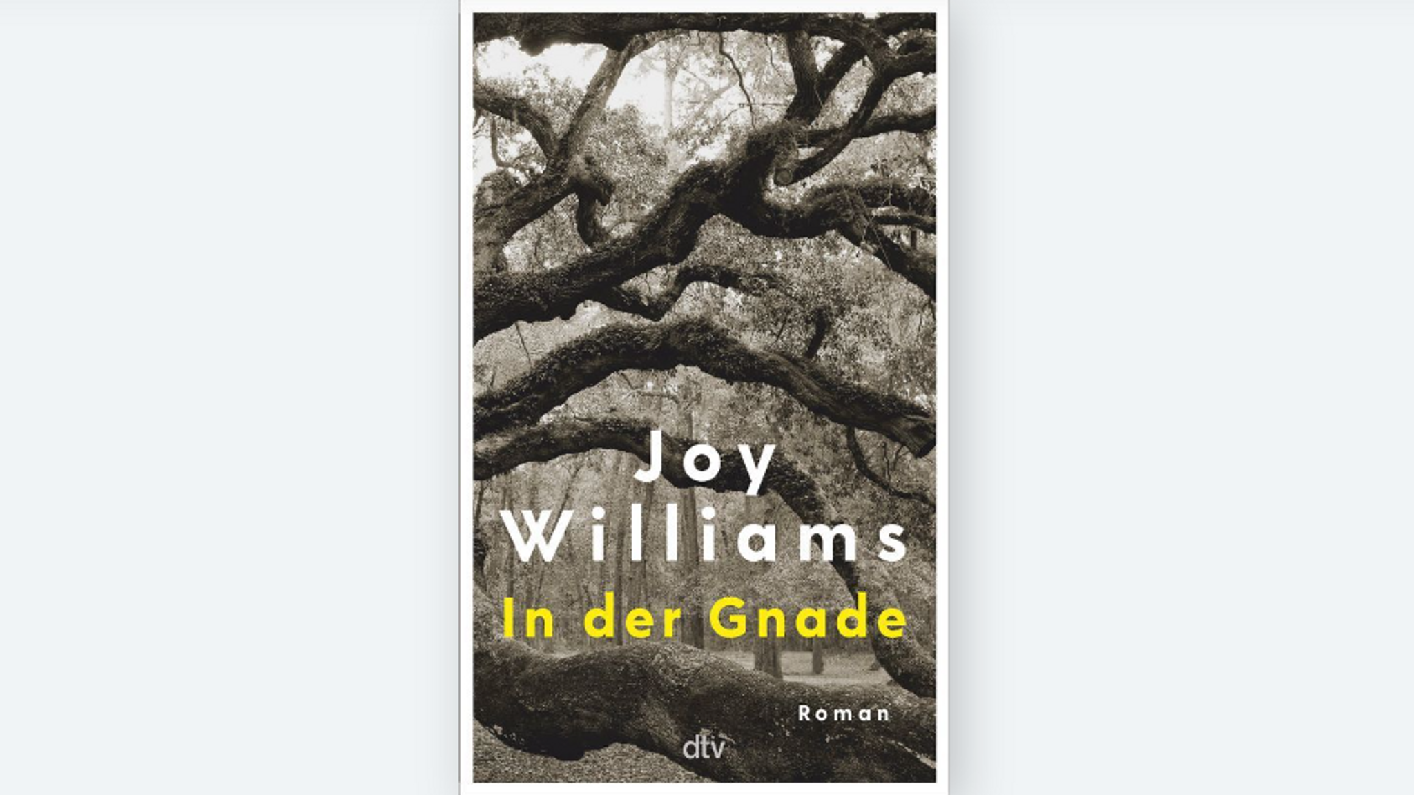 "In der Gnade" von Joy Williams