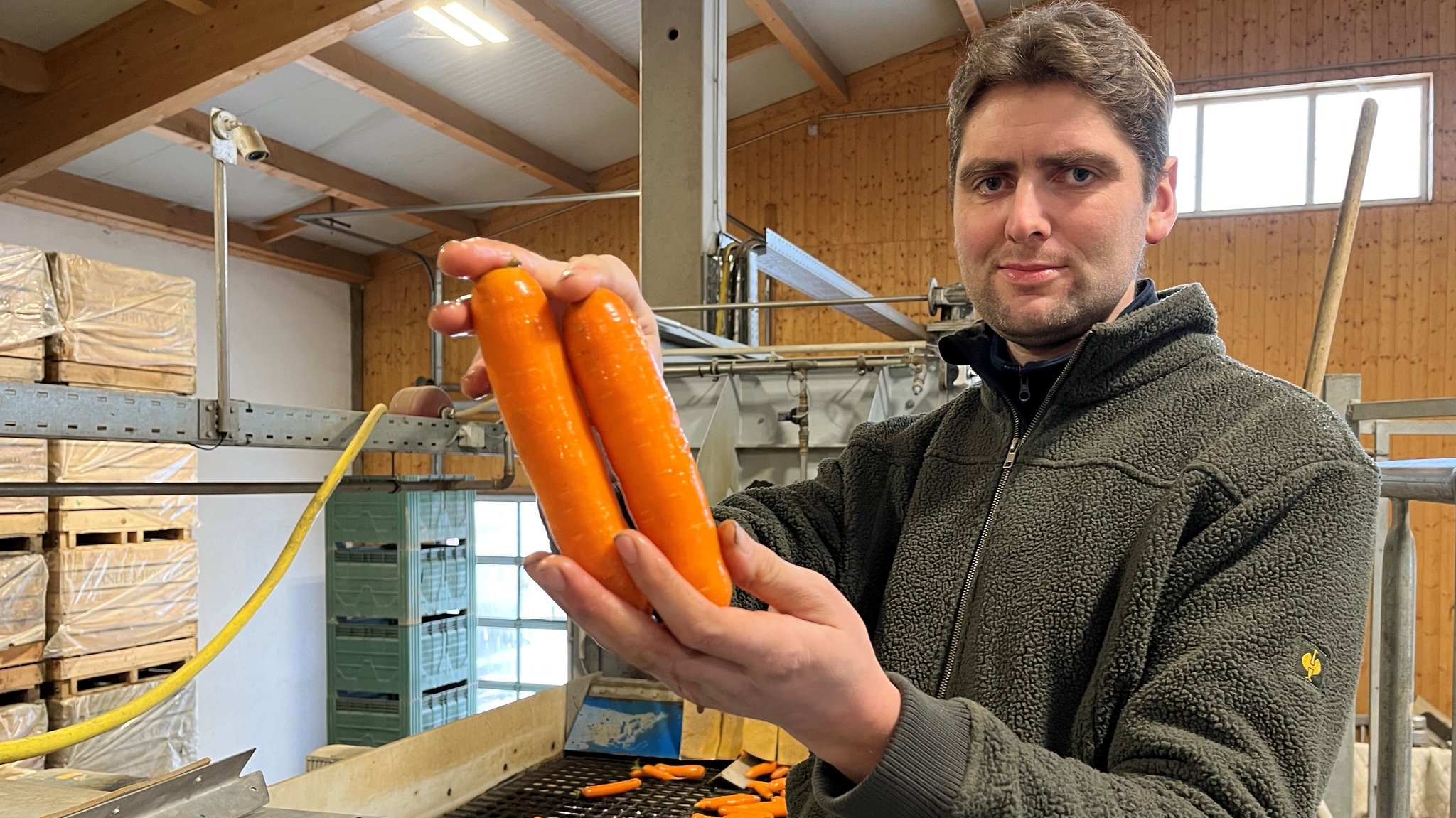 Florian Pfänder, Bio-Gärtner aus Schwabmünchen, hält frisch gewaschene Karotten in der Hand.