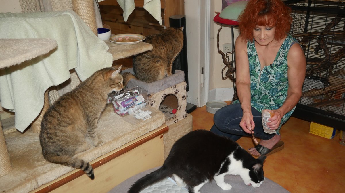 Monika Löwenhofer sitzt in ihrem Katzen-Hospiz in Dettelbach auf dem Boden und füttert eine Katze.