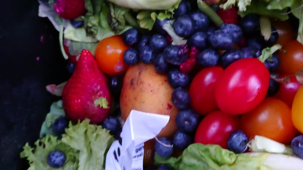 Millionen Tonnen Lebensmittel landen nach wie vor im Müll