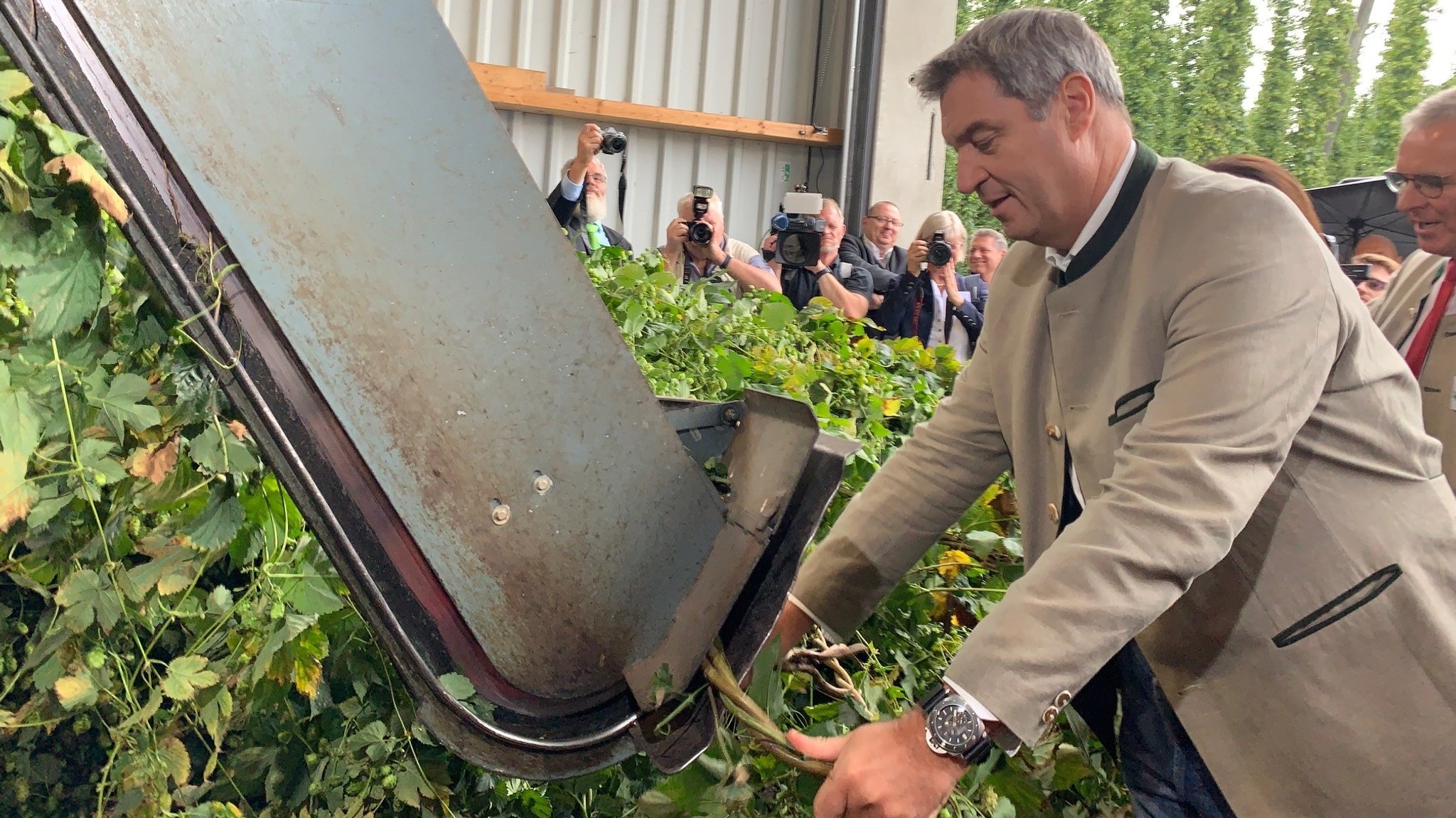 Hallertauer Hopfenrundfahrt: Kein gutes Jahr für den Hopfen