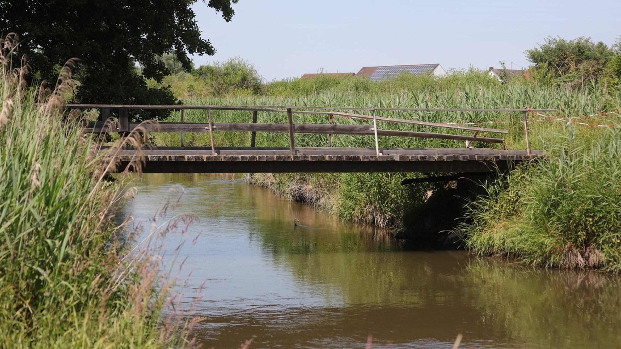 Marode Brücke verhindert die Ernte auf zwei Wiesen | Bild: Axel Mölkner-Kappl / BR Marode Brücke verhindert die Ernte auf zwei Wiesen
