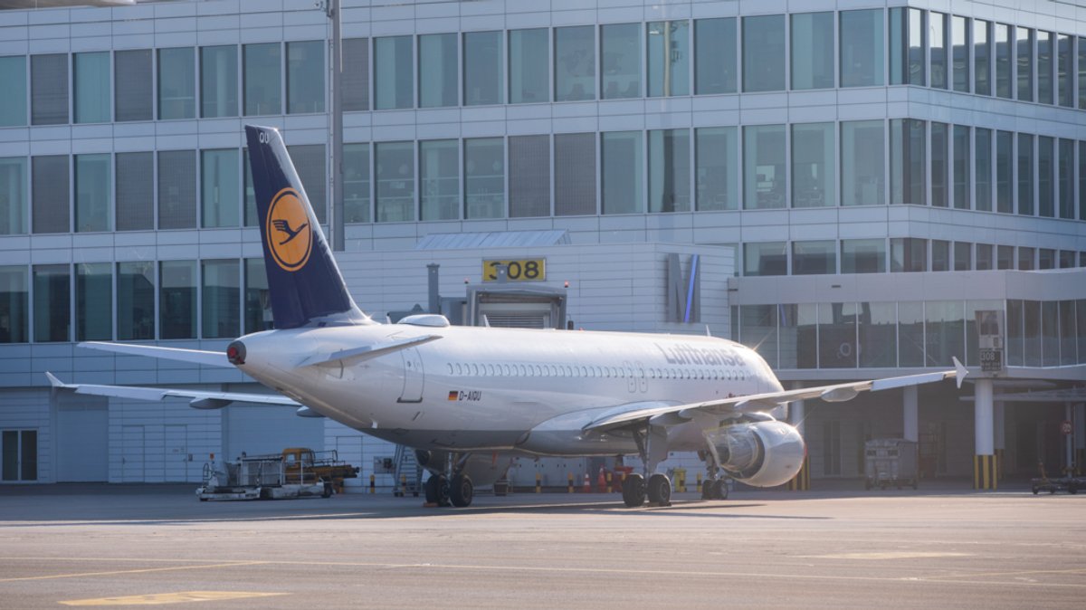 Ein Flugzeuge der Fluggesellschaft "Lufthansa" steht auf dem Vorfeld des Münchner Flughafens.