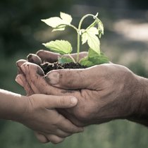 Mensch ohne Natur? - Der Mensch, das ökologische Wesen | Bild: colourbox.com