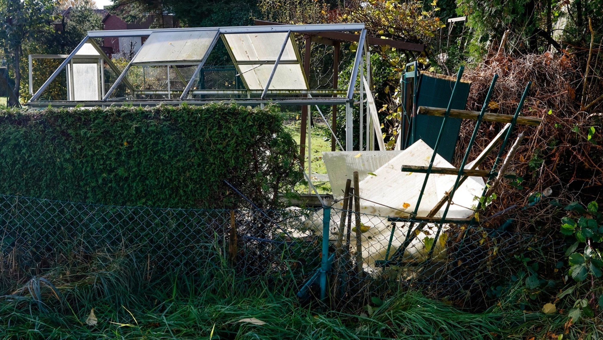 Welche Versicherung zahlt Sturmschäden rund um den Garten?