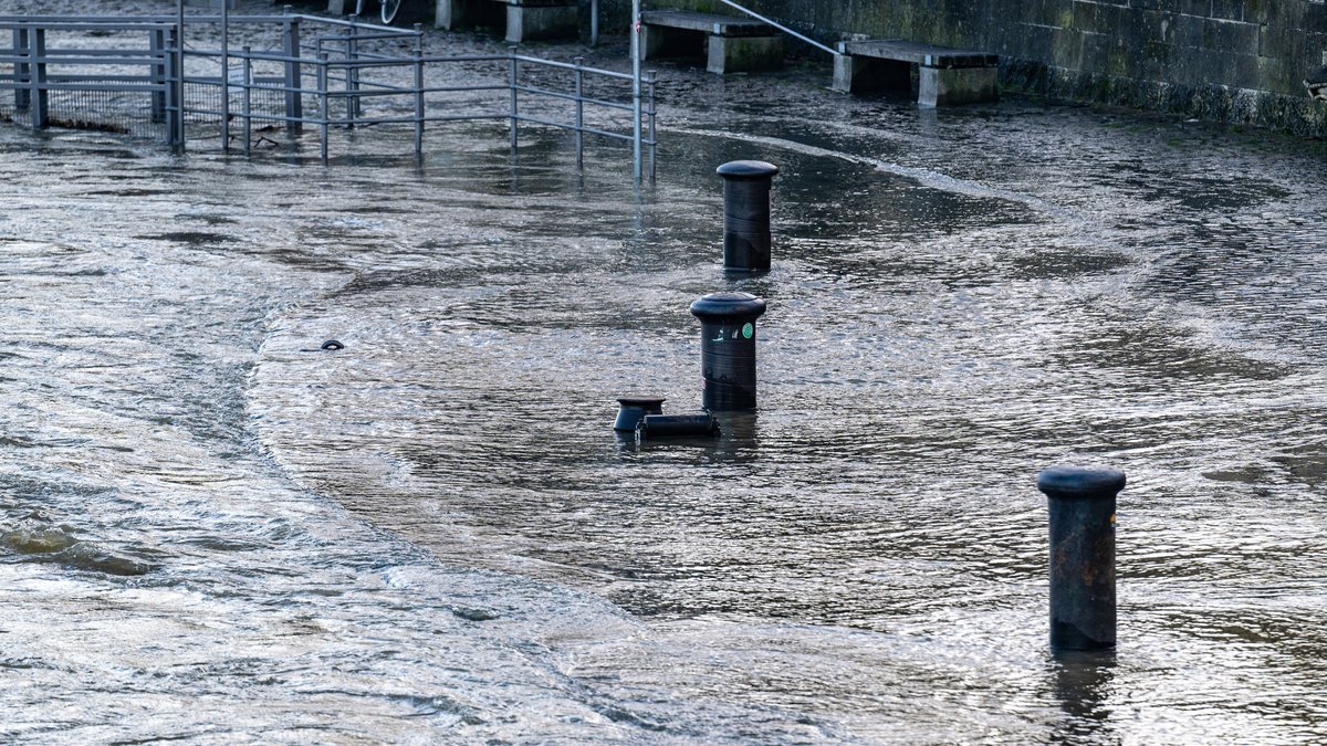 Hochwasser überspült das Ufer der Donau