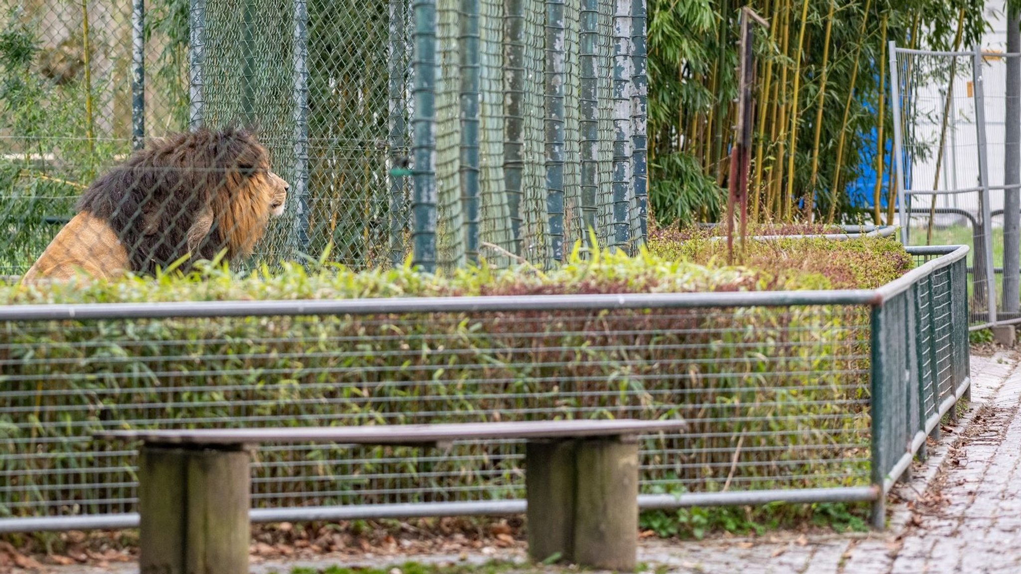 Der Tiergarten Straubing (Symbolbild)