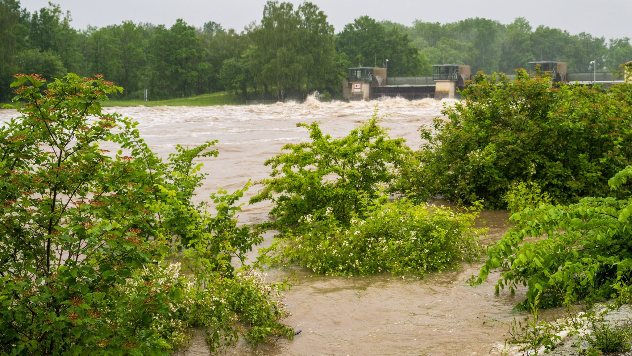 Günzburg: Die Donau ist beim Kraftwerk über das Ufer getreten. Nach den ergiebigen Regenfällen der letzten Tage wird Hochwasser erwartet.