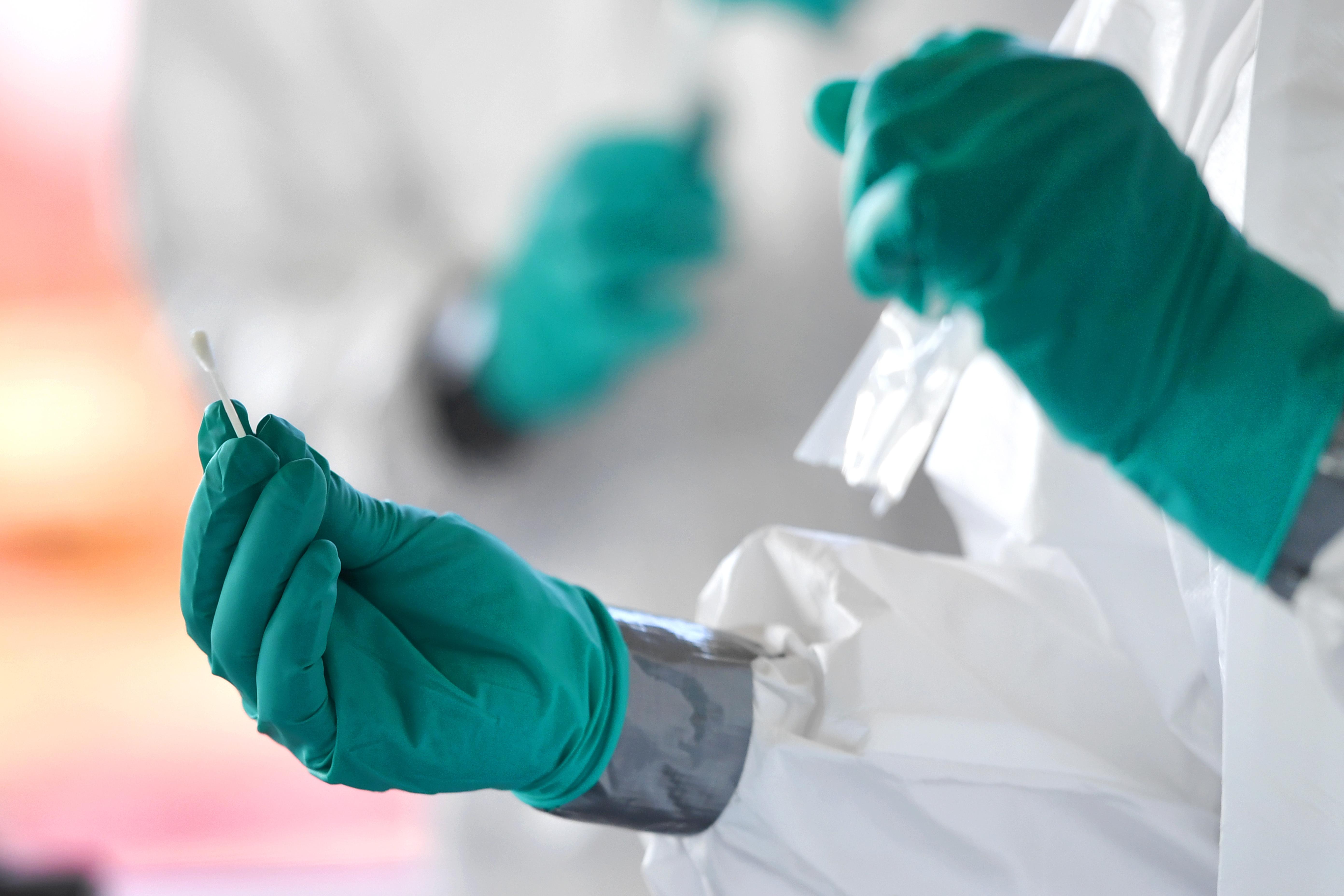 Ein Wattestäbchen - ein Teil eines PCR-Tests