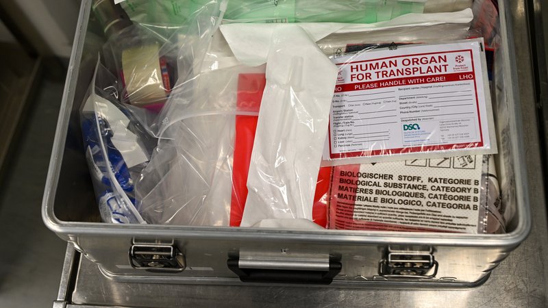 Medizinbox mit Spenderorgan | Bild: picture alliance / SZ Photo | Catherina Hess Medizinbox mit Spenderorgan