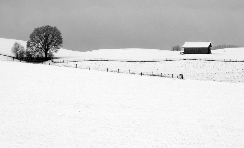 06.01.2024, Bayern, Roßhaupten: Mit Neuschnee überzogen sind die Hügel des Allgäuer Voralpenlandes.