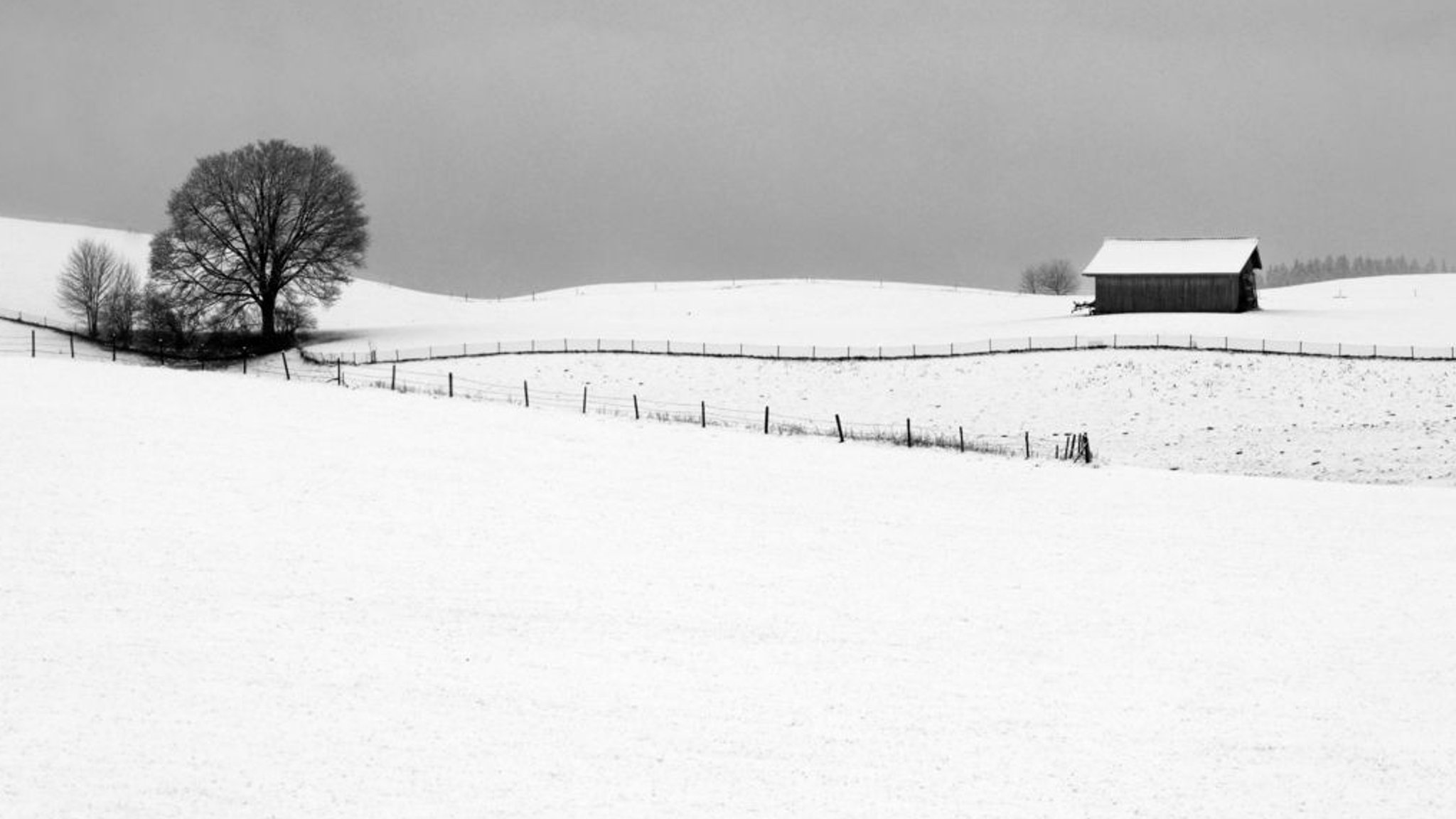 06.01.2024, Bayern, Roßhaupten: Mit Neuschnee überzogen sind die Hügel des Allgäuer Voralpenlandes.