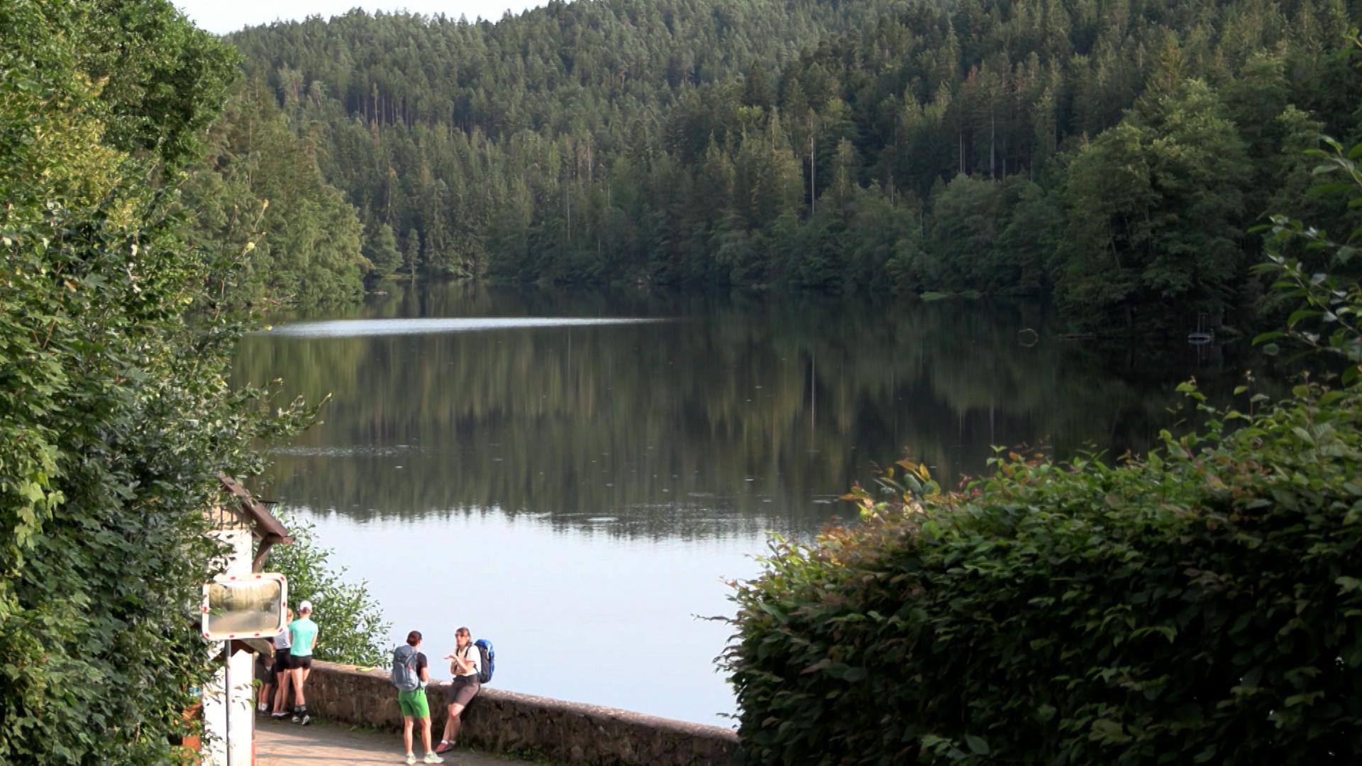 Der Bayerische Wald dient als Kulisse für einen Hollywood-Film, der vor ungefähr 100 Jahren in Oregon spielt. Mit dabei sind die Filmstars Ethan Hawke und Russell Crowe. Dass der Film hier gedreht wird, liegt auch an der Filmförderung.