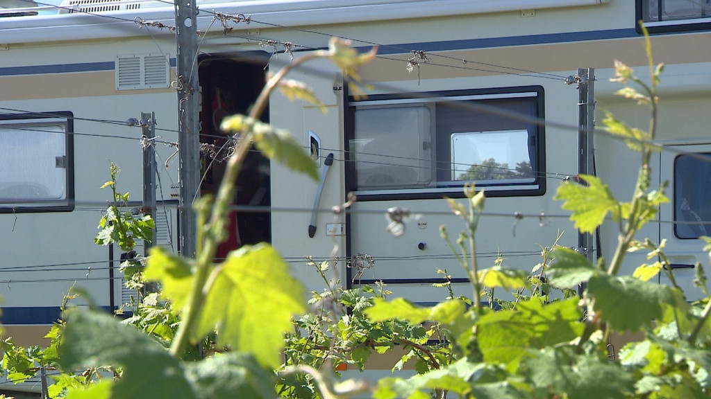 Ein Wohnmobil im Weinberg bei Dettelbach in Unterfranken | Bild: BR Ein Wohnmobil im Weinberg bei Dettelbach in Unterfranken