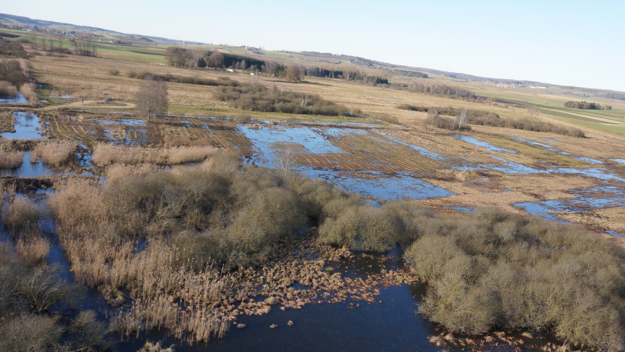 Luftaufnahme der Moorfläche im Dattenhauser Ried