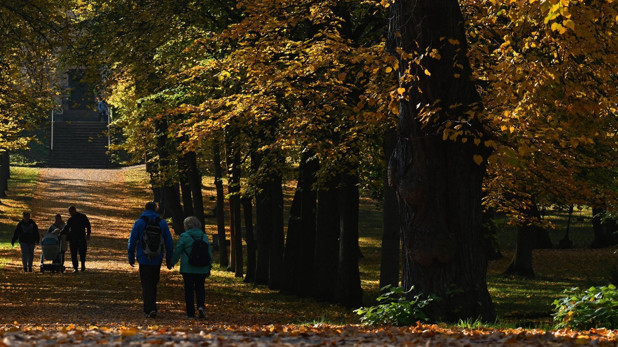 Menschen spazieren in einer Allee, deren Bäume in herbstlichen Farben in der Sonne leuchten.