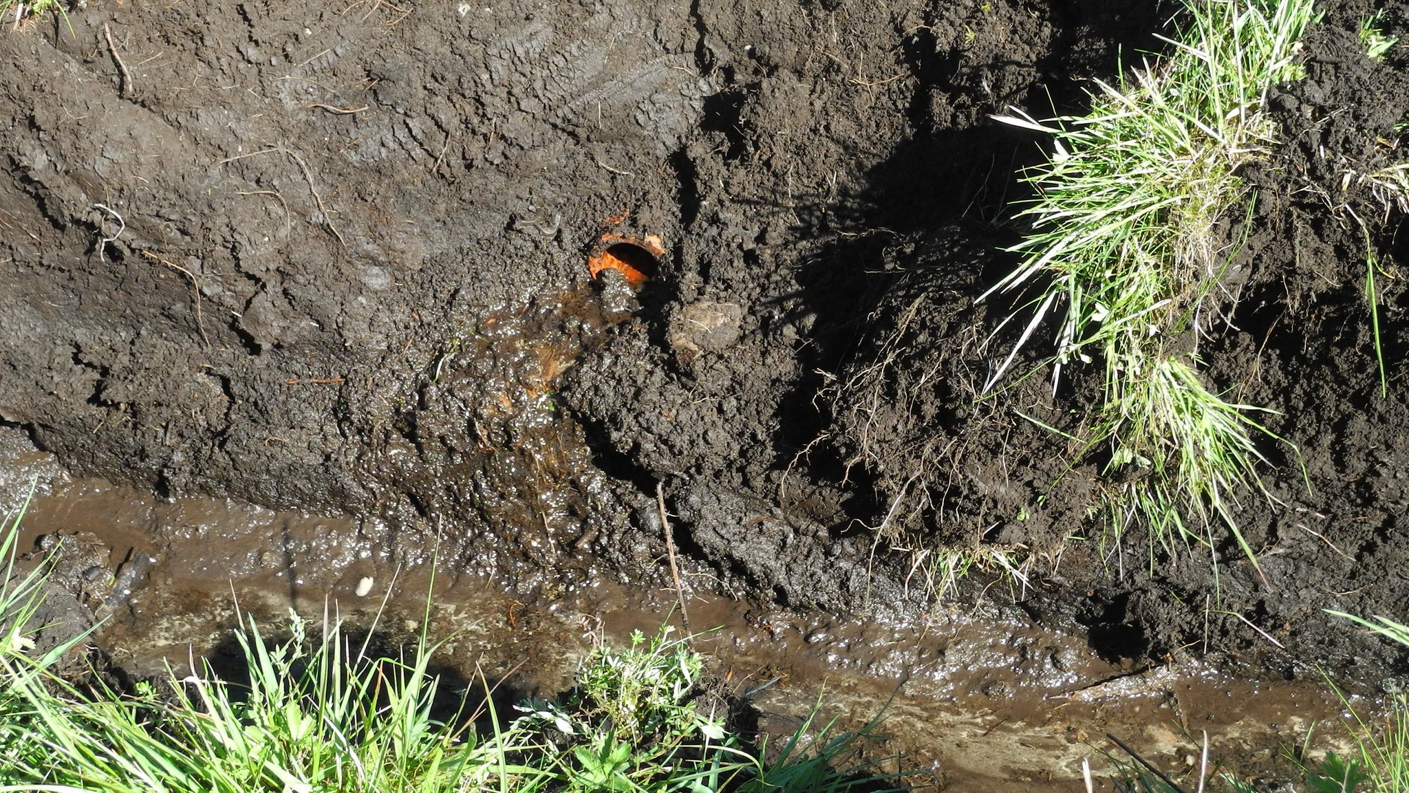 Im Bodenprofil sieht man ein offenes Tonrohr aus dem Wasser in einen frisch geöffneten Graben fließt.