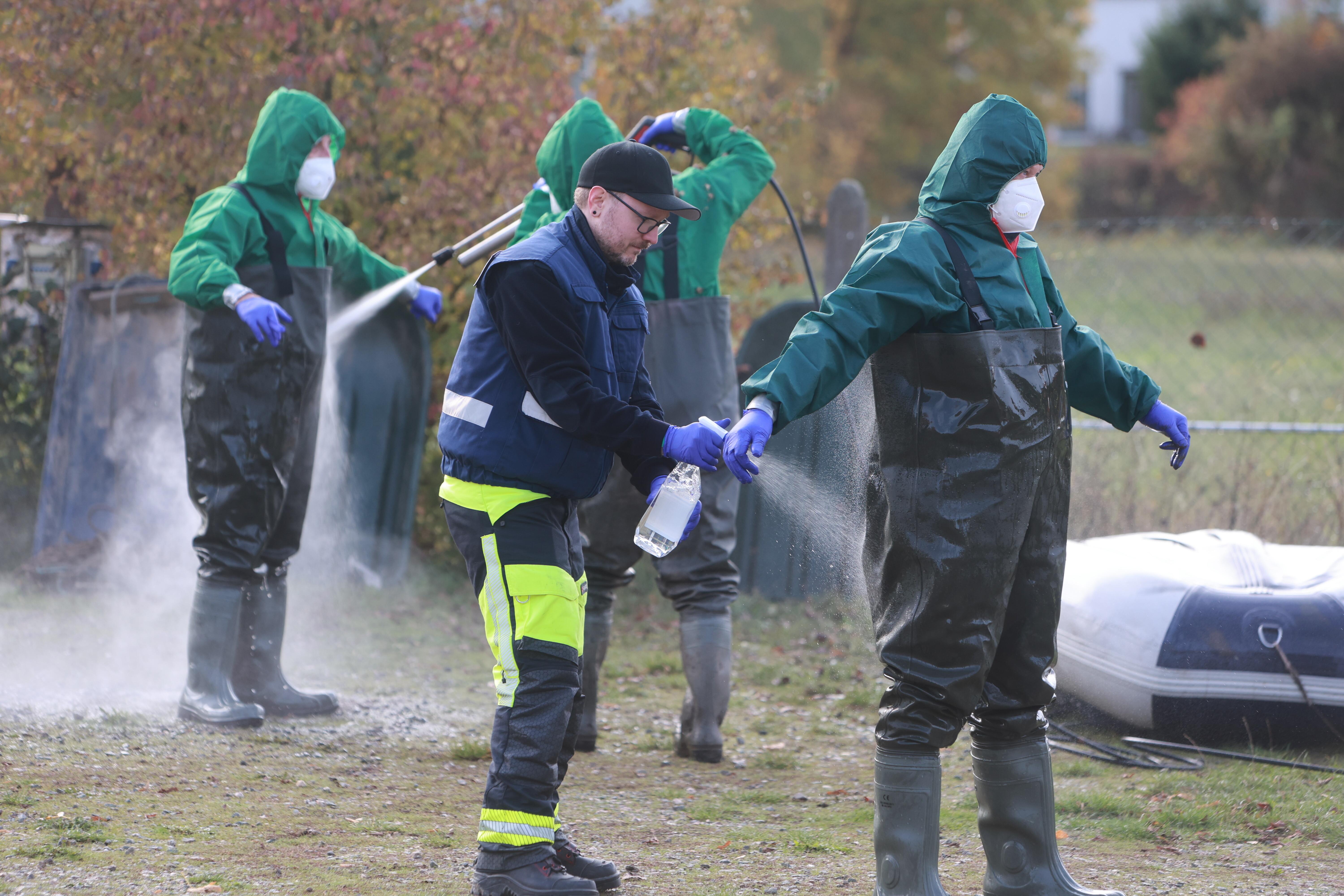 Einsatzkräfte der Feuerwehr werden nach der Suche nach infizierten oder verendeten Kranichen desinfiziert.