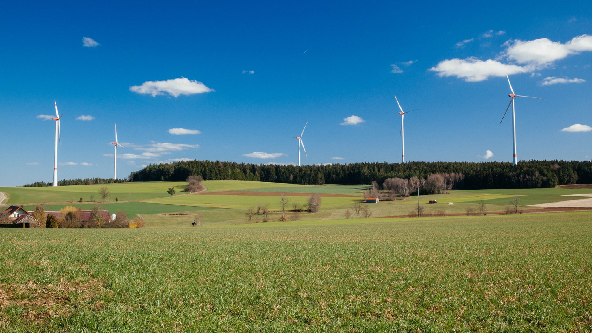 Fünf Windräder in der Oberpfalz stehen in der Landschaft.