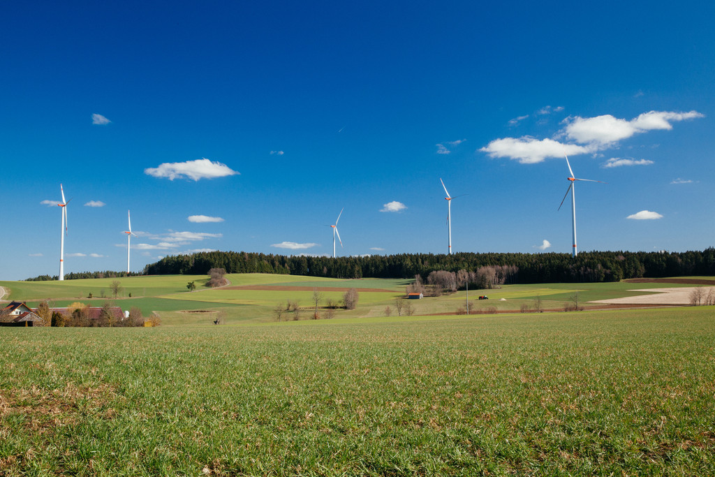 Fünf Windräder in der Oberpfalz stehen in der Landschaft.