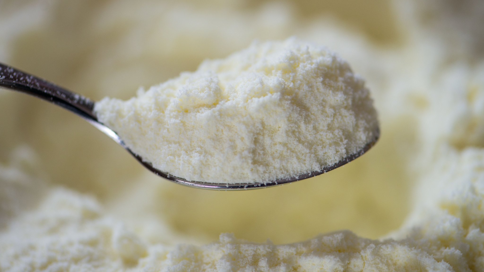 Milchpulver für Babys auf einem Löffel. | Bild: dpa-Bildfunk/Armin Weigel Milchpulver für Babys auf einem Löffel.