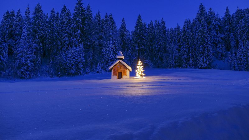 Beleuchteter Christbaum vor einer Kapelle im Winter. | Bild: pa/dpa/ blickwinkel/allOver/TPH | allOver/TPH Beleuchteter Christbaum vor einer Kapelle im Winter.