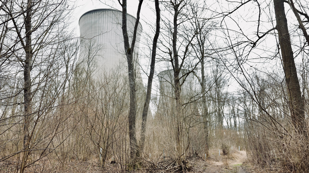 Zwei große Kühltürme eines Atomkraftwerks sind durch schüttere kahle Bäume eines Waldes zu sshen
