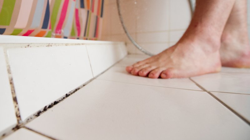 Schimmelige Badezimmerfugen | Bild: picture alliance / dpa Themendienst | Franziska Gabbert Schimmelige Badezimmerfugen