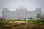 06.11.2024, Berlin: Das Reichstagsgebäude mit dem Bundestag ist am Morgen hinter einer Baustelle zu sehen. Zum ersten Mal seit Monaten tagt am Abend wieder der Koalitionsausschuss, dem neben den wichtigsten Mitgliedern der Ampel-Regierung auch die Partei- und Fraktionschefs angehören. Es geht bei dem Treffen um den Fortbestand der Koalition, die sich in der Haushalts- und Wirtschaftspolitik tief zerstritten hat. Foto: Kay Nietfeld/dpa +++ dpa-Bildfunk +++ | Bild:dpa-Bildfunk