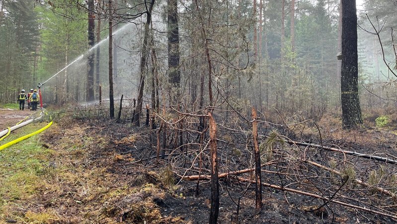 Feuerwehrleute stehen im Brandgebiet, ein sogenannter Kreisregner spritzt Wasser; im Vordergrund verbrannte Bäume | Bild: BR/Carlo Schindhelm Feuerwehrleute stehen im Brandgebiet, ein sogenannter Kreisregner spritzt Wasser; im Vordergrund verbrannte Bäume